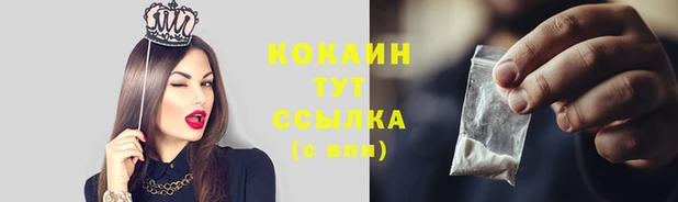спиды Богородск