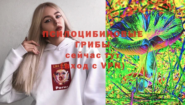 мдпв Беломорск