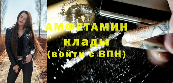 метадон Богданович