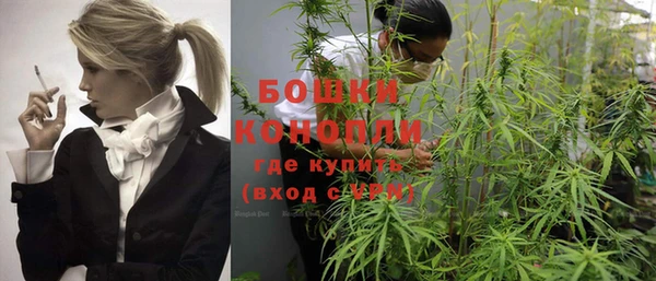 спиды Богородск