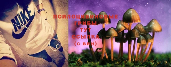 герыч Белокуриха