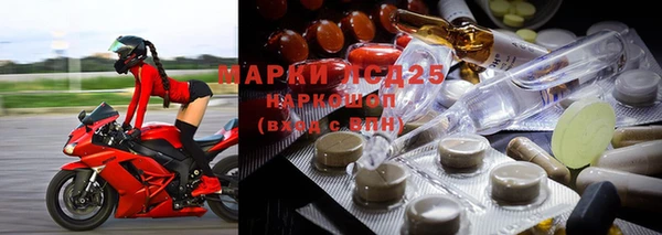 метадон Богданович