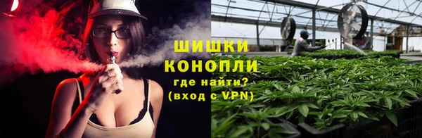 спиды Богородск