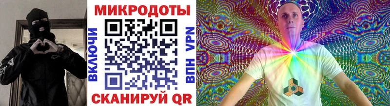 купить   Дрезна  Галлюциногенные грибы Psilocybine cubensis 